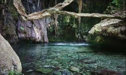 AFRODİT HAMAMI /BATHS OF APHRODİTE (BAF/KIBRIS)